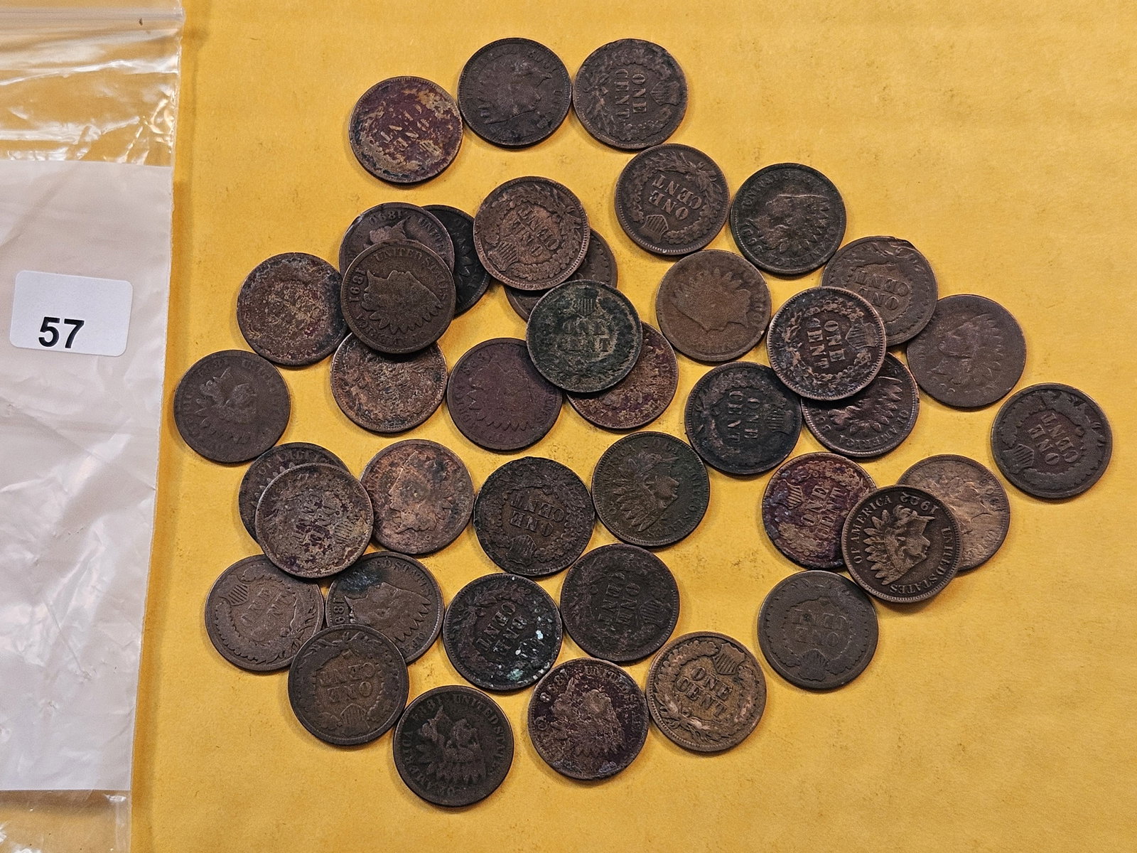 Forty Circulated Indian Head Cents (1 of 1)