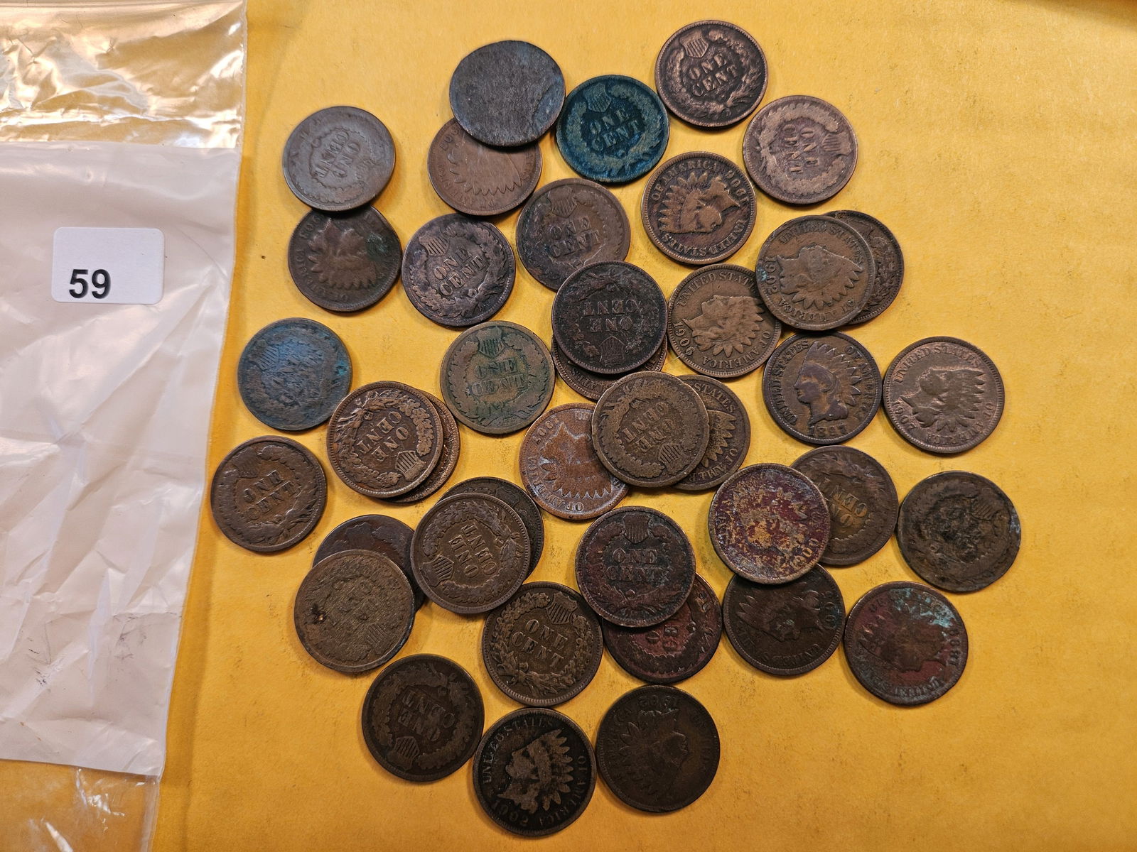 Forty Circulated Indian Head Cents (1 of 1)