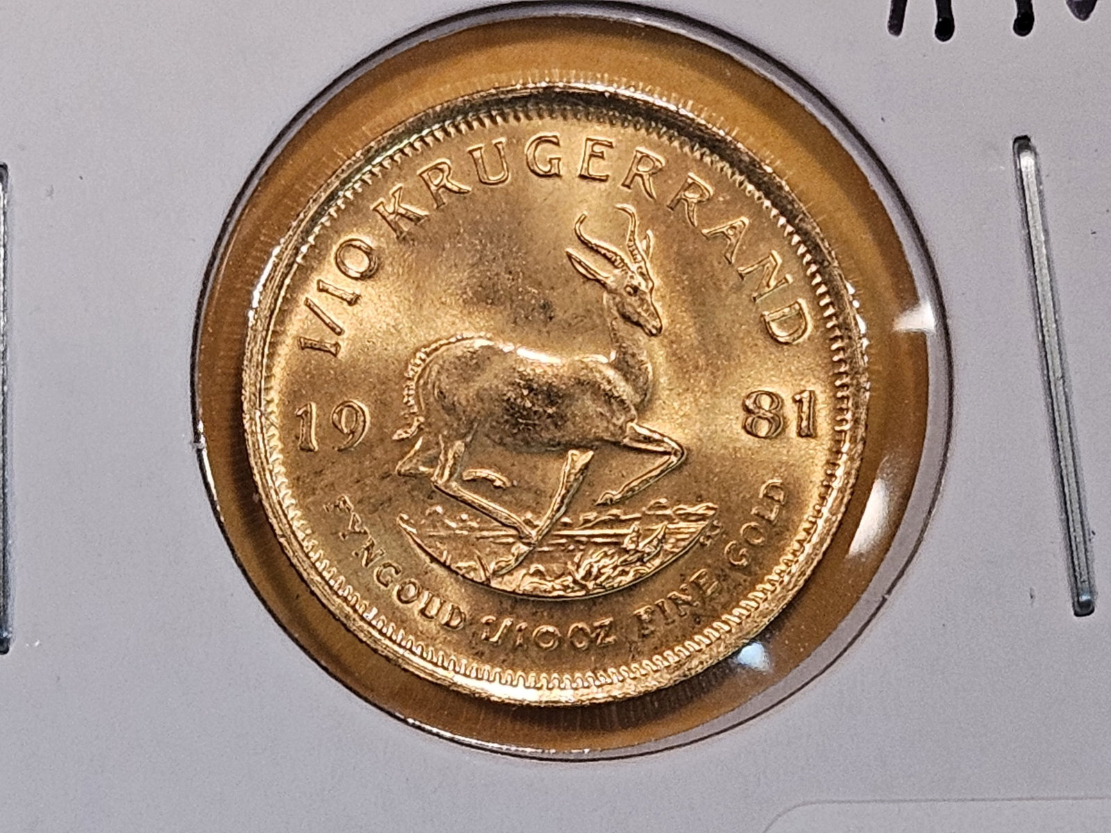 GOLD! GEM Brilliant Uncirculated 1981 South Africa Gold 1/10 Krugerrand: Right purty