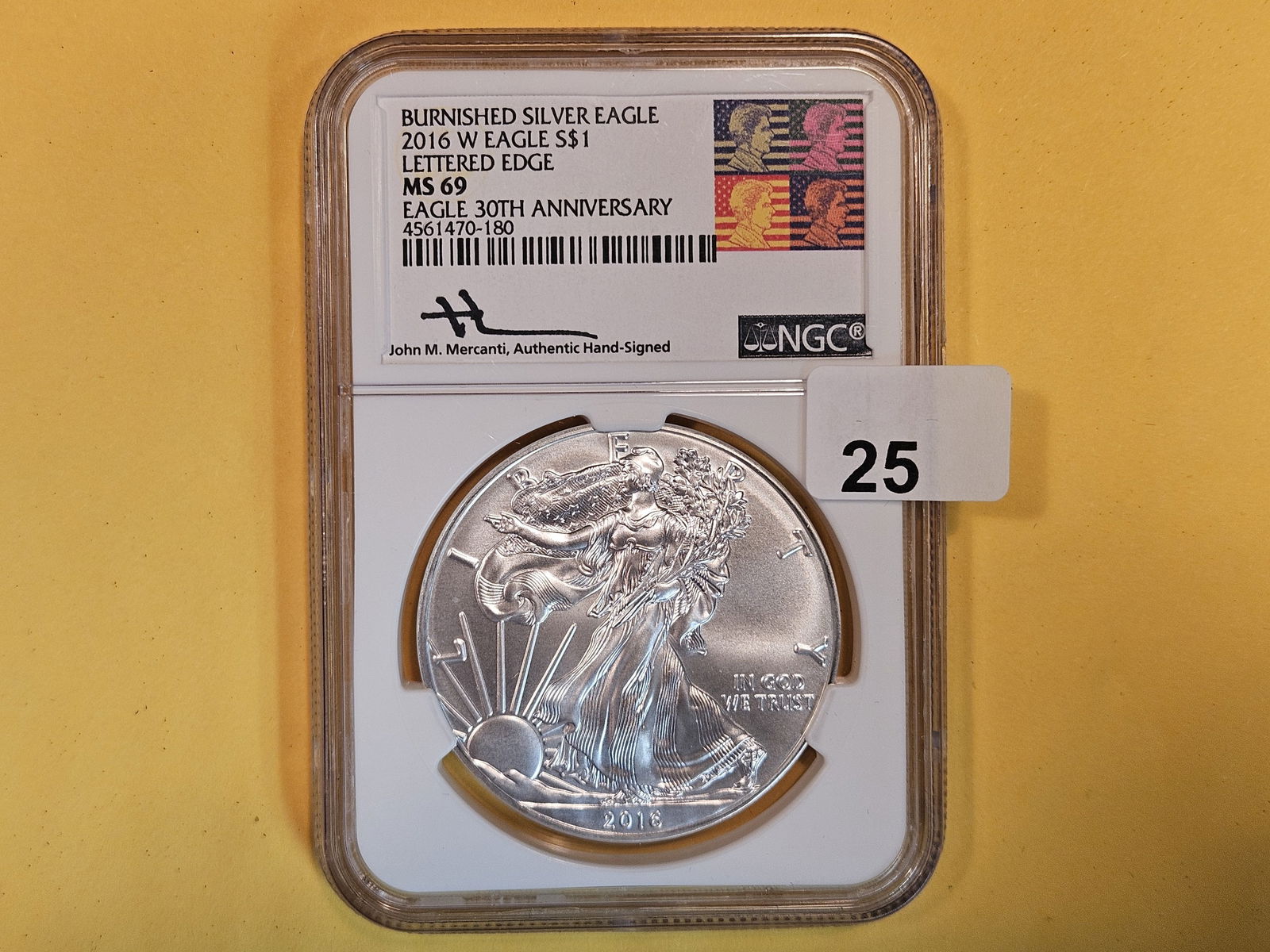 NGC 2016-W Burnished American Silver Eagle in Mint State 69 (1 of 3)