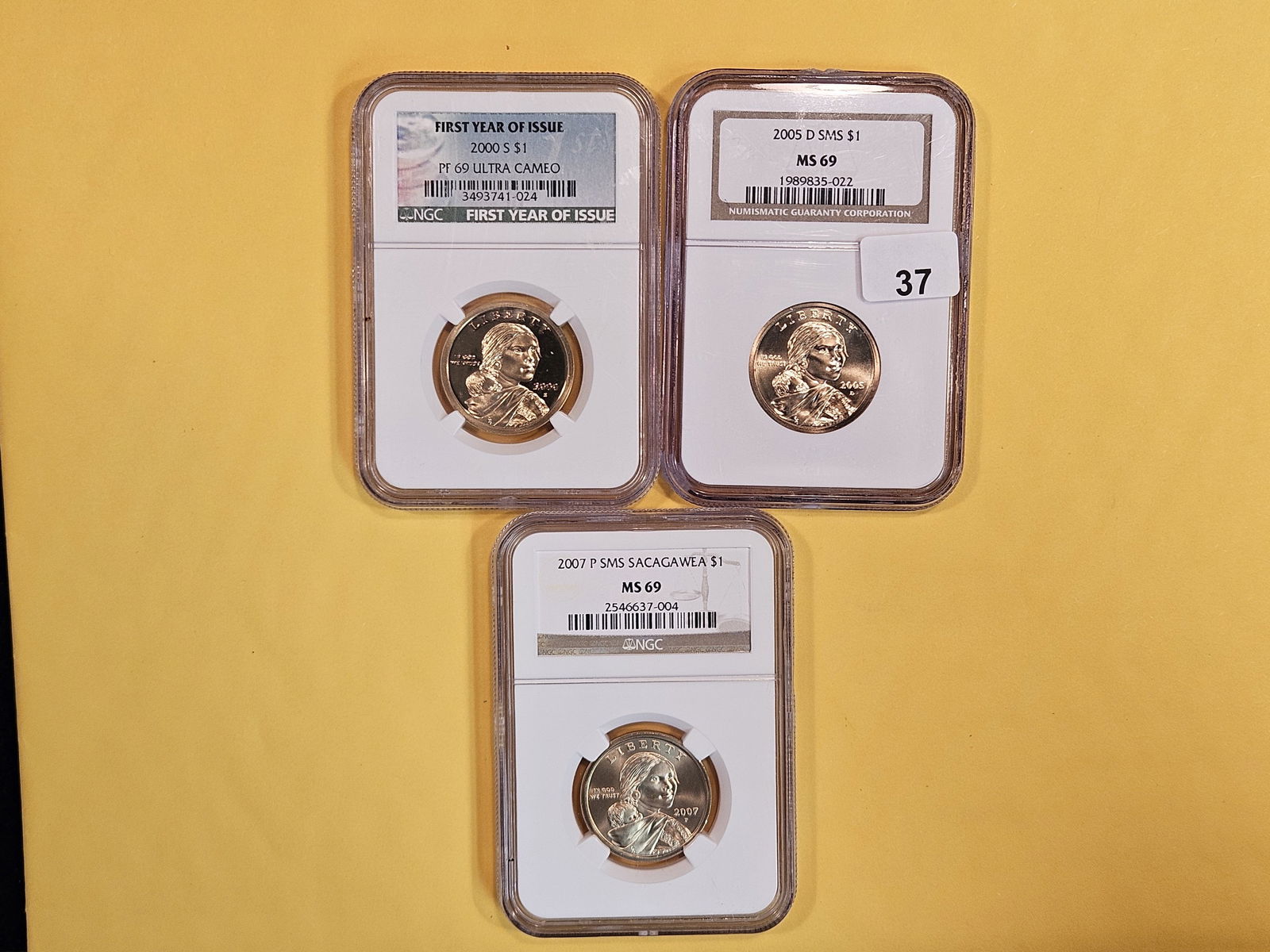 Three NGC-Graded Sacagewea Dollars (1 of 2)