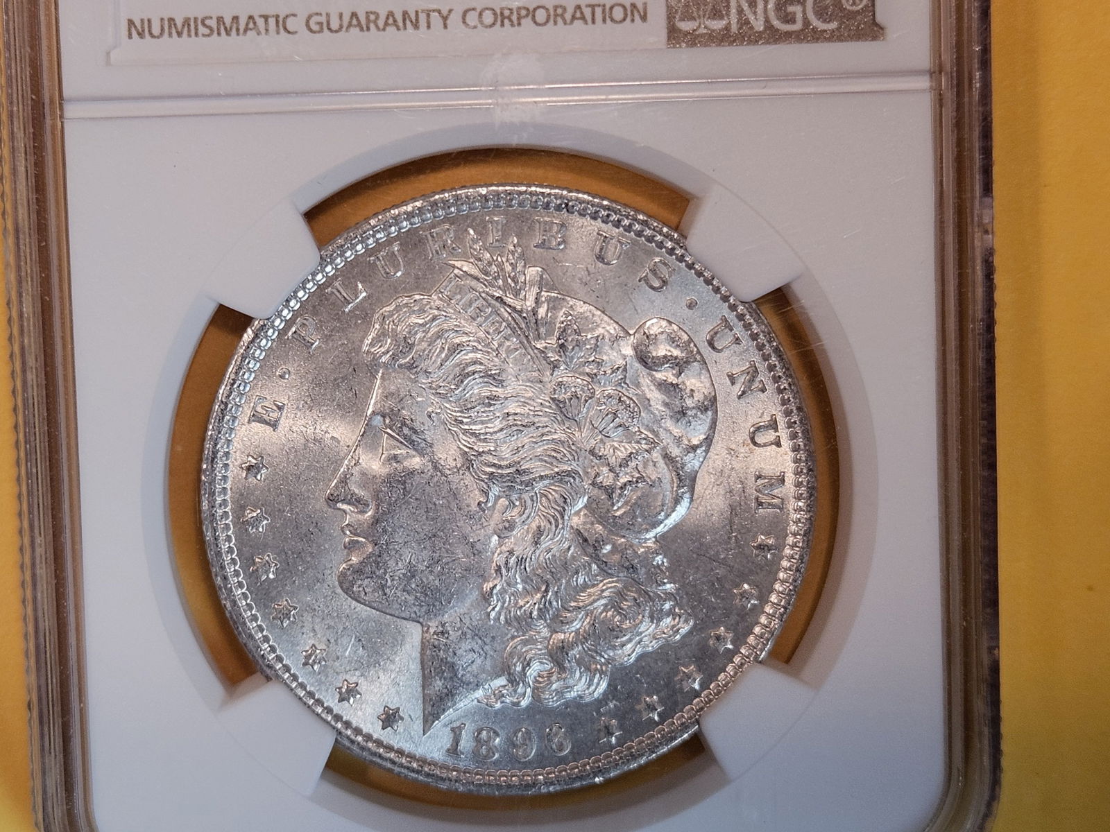 NGC 1896 Morgan Dollar in Mint State 60 (1 of 3)