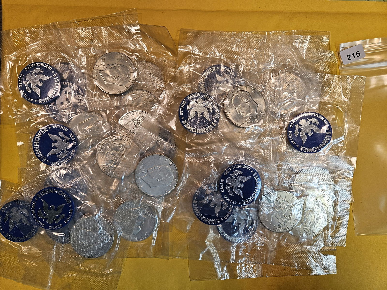 TWENTY Mixed Brilliant Uncirculated SILVER Blue IKES (1 of 1)