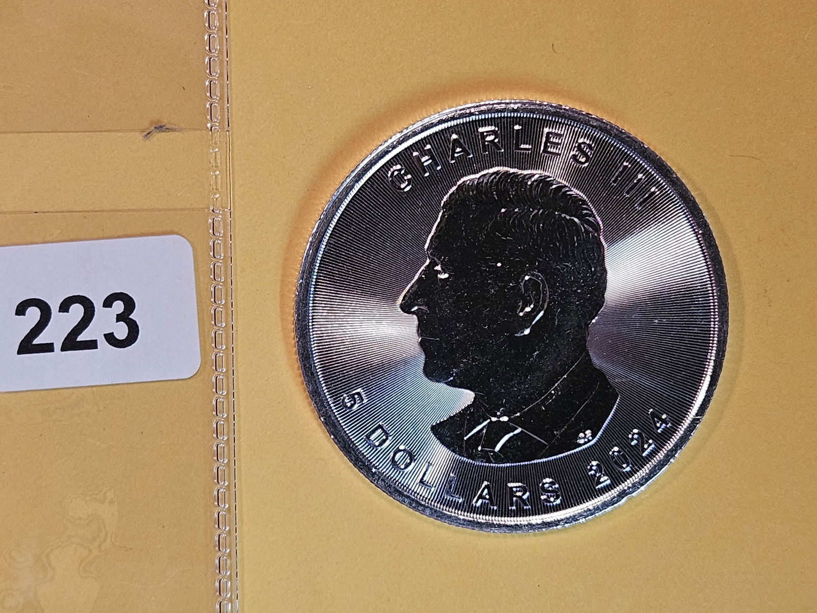 GEM 2024 Canada silver Dollar (1 of 2)