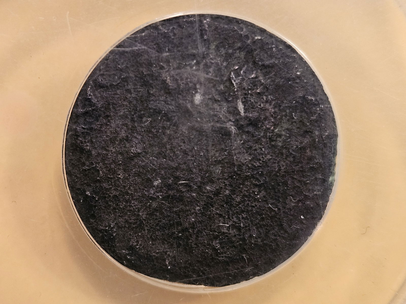 ANCIENT! ANACS AD 34 - 37 Roman coin in Fine - 15 (1 of 5)