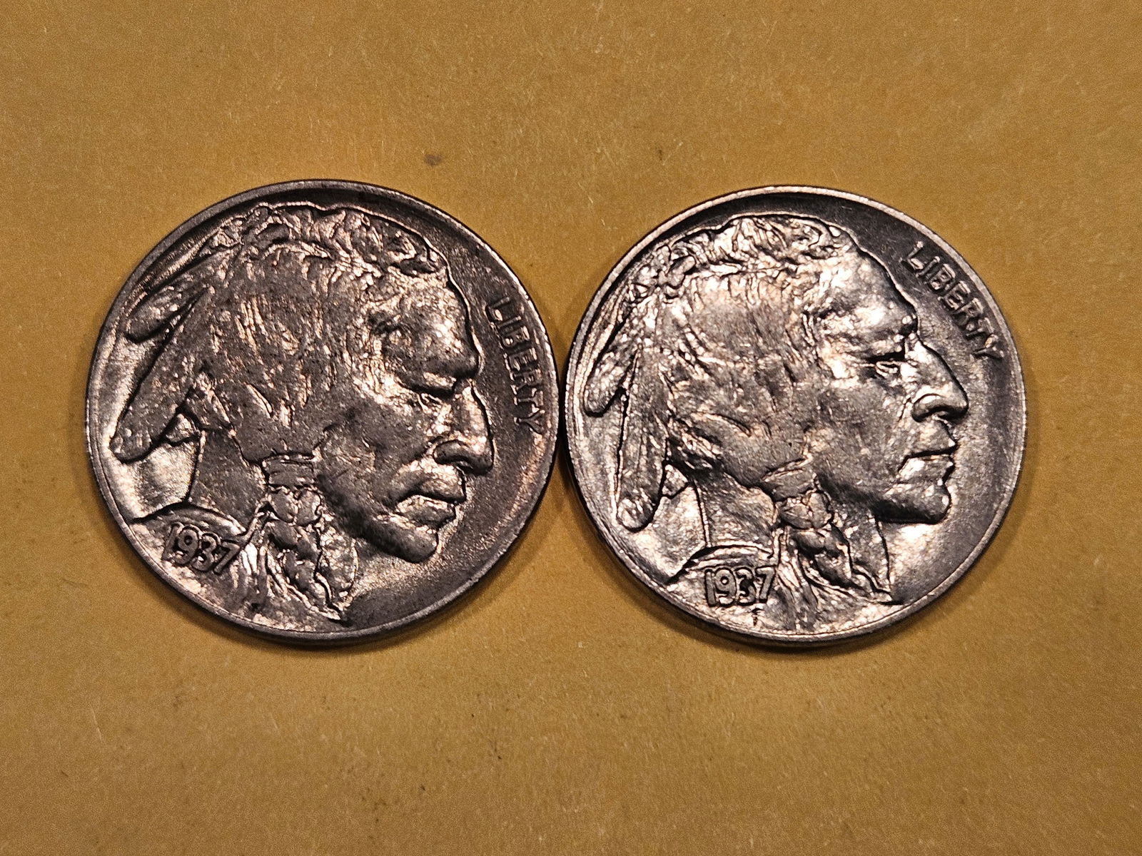 Two Choice Brilliant Uncirculated Buffalo Nickels (1 of 5)