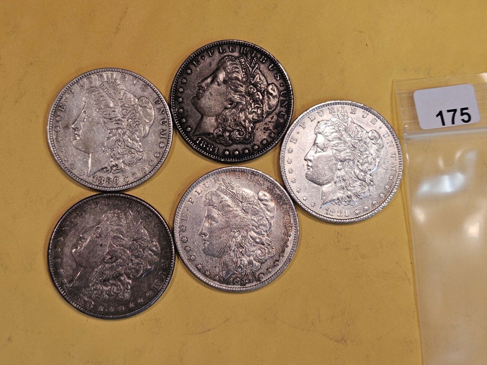 Five Mixed Morgan Silver Dollars (1 of 2)