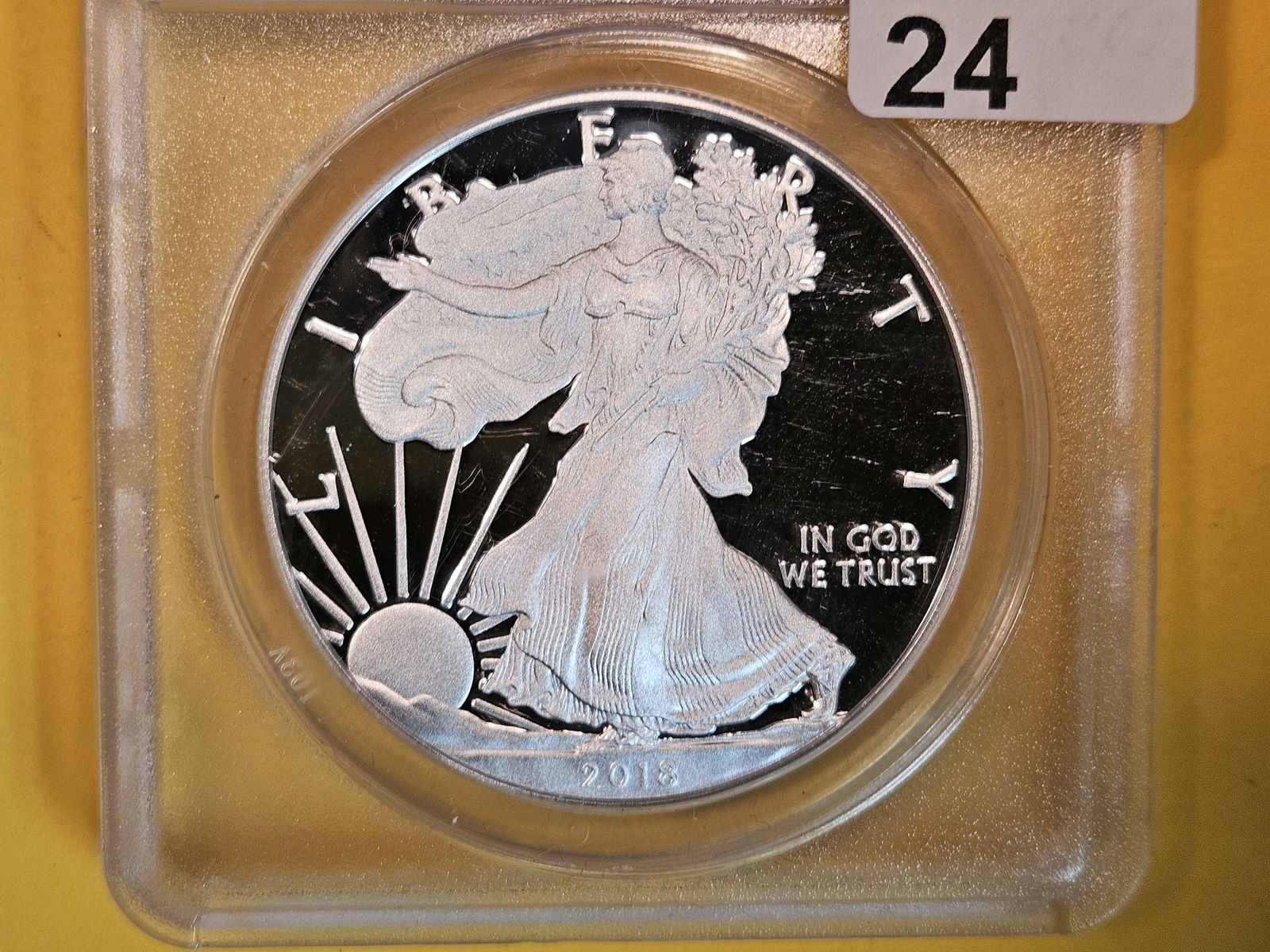 PERFECT! ANACS 2018-W American Silver Eagle in Proof 70 Deep Cameo (1 of 3)