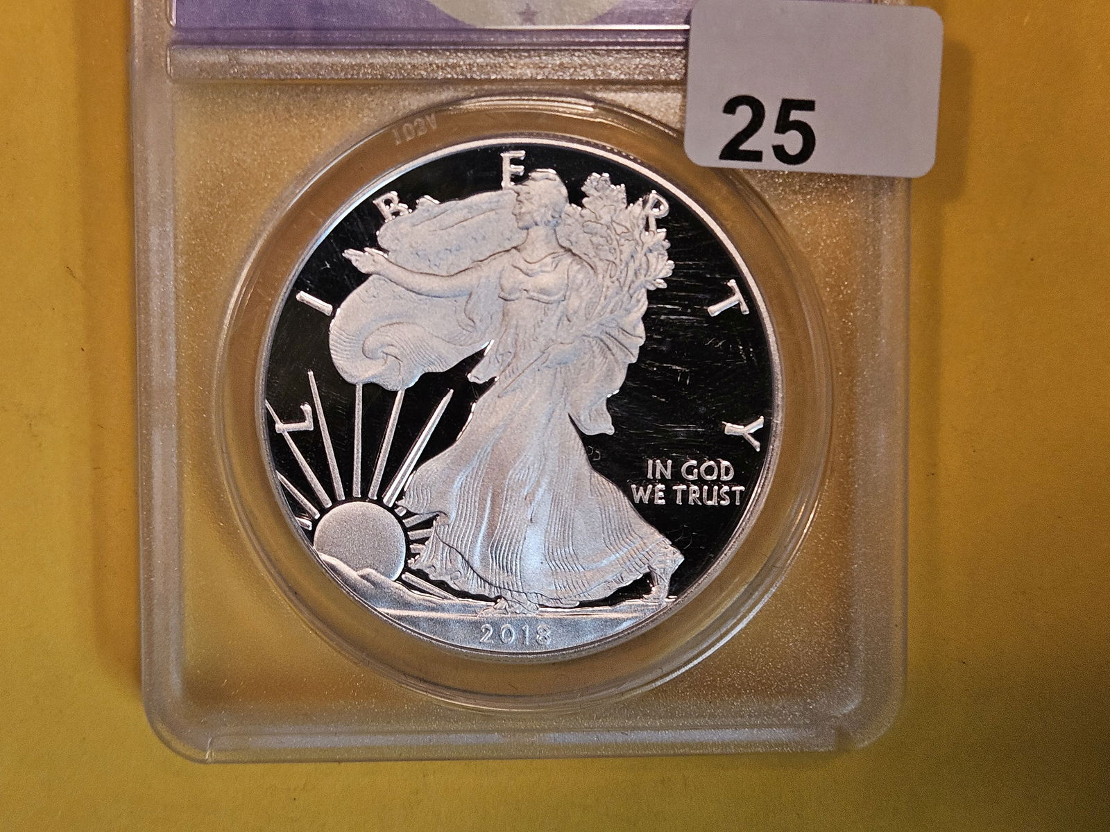 PERFECT! ANACS 2018-W American Silver Eagle in Proof 70 Deep Cameo (1 of 3)