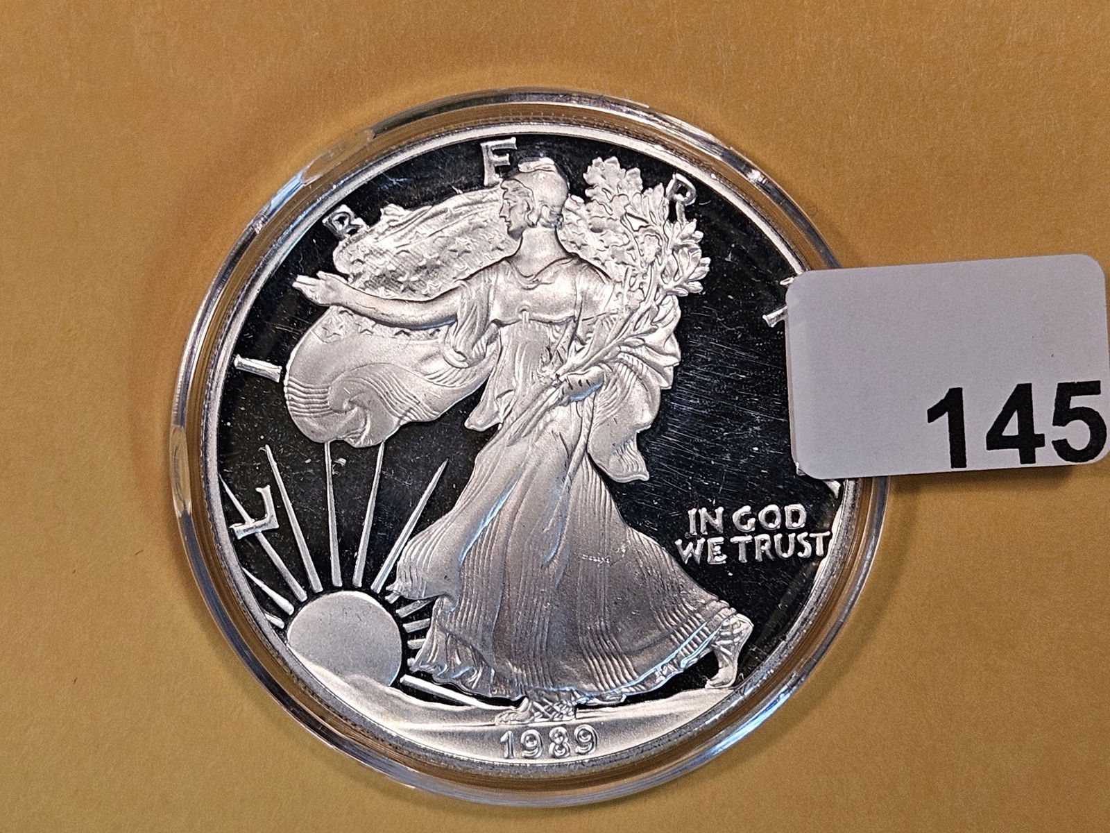GEM Proof Deep Cameo 1989 American Silver Eagle (1 of 2)