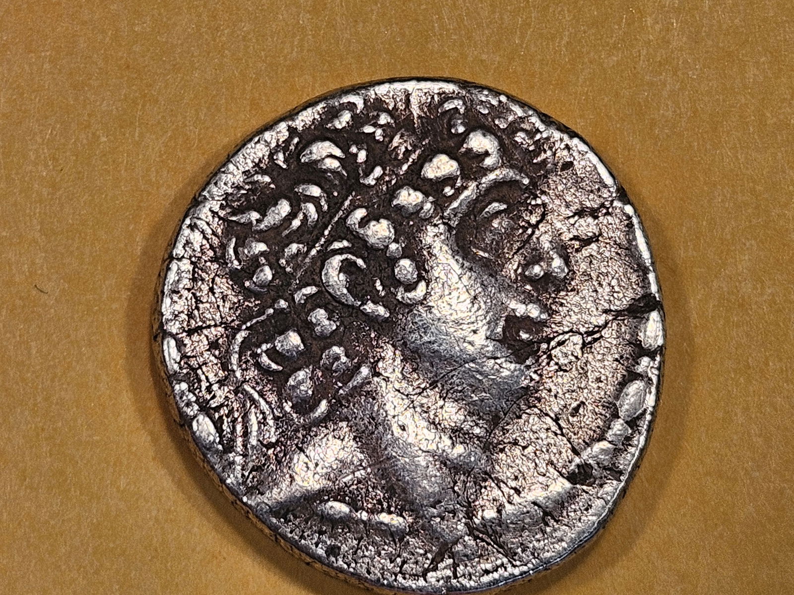 ANCIENT! Seleucid Kingdom 93 - 83 BC in Very Fine (1 of 6)