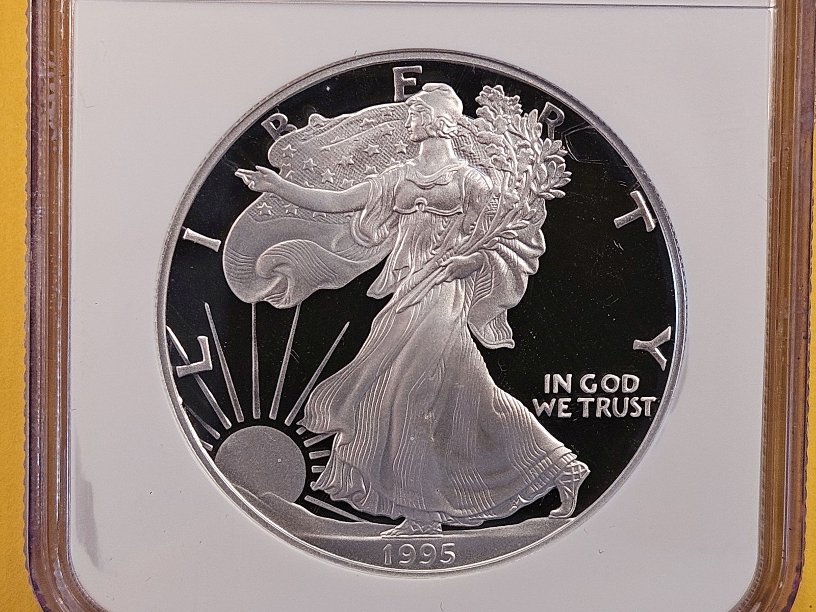 NGC 1995 American Silver Eagle in Proof 69 Ultra Cameo (1 of 4)