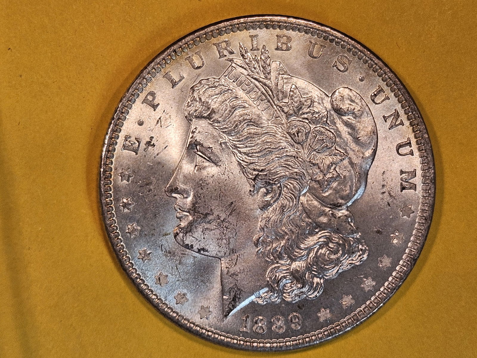 Choice Brilliant Uncirculated 1889 Morgan silver Dollar (1 of 5)