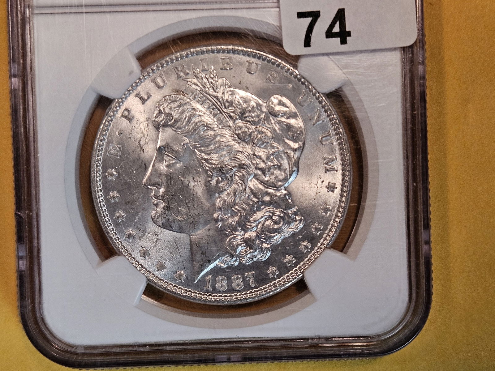 NGC 1887 Morgan Dollar in Mint State 63 (1 of 3)