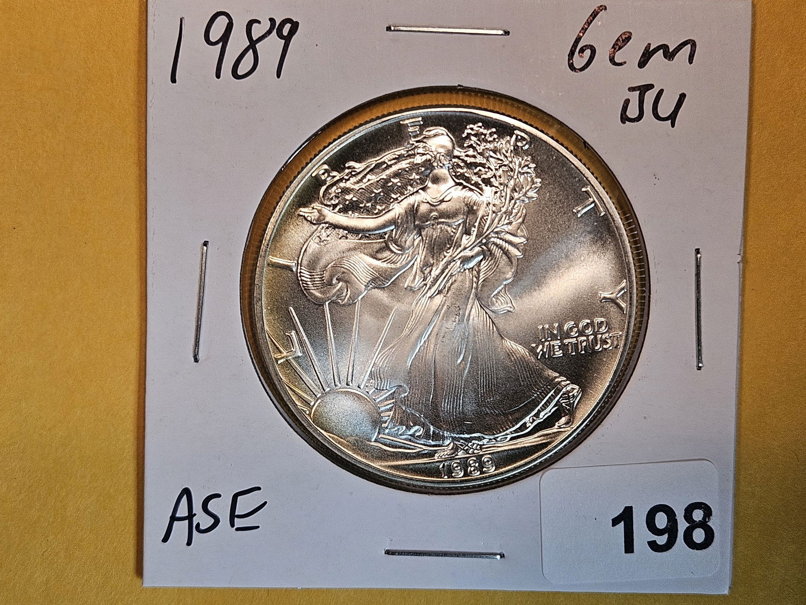 GEM Brilliant Uncirculated 1989 American Silver Eagle (1 of 2)
