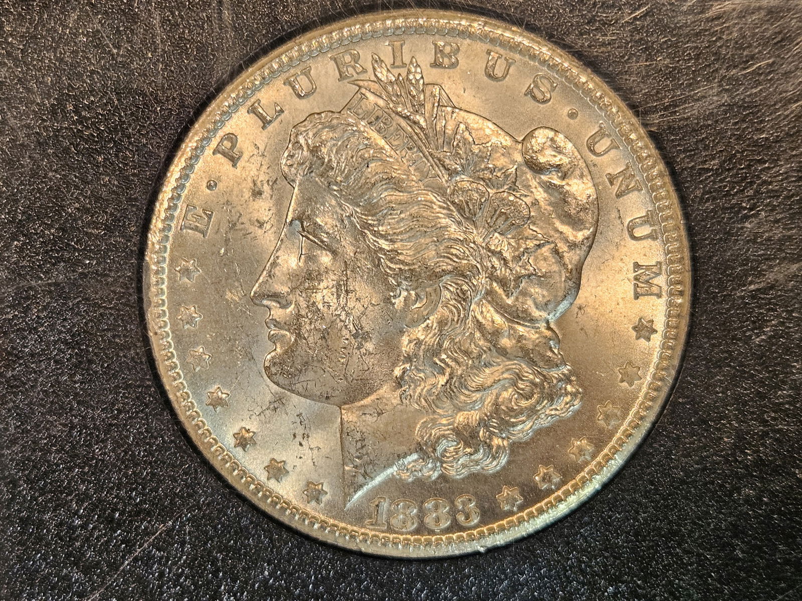 ** KEY DATE ** GSA 1883-CC Morgan Dollar in Choice Brilliant Uncirculated (1 of 7)