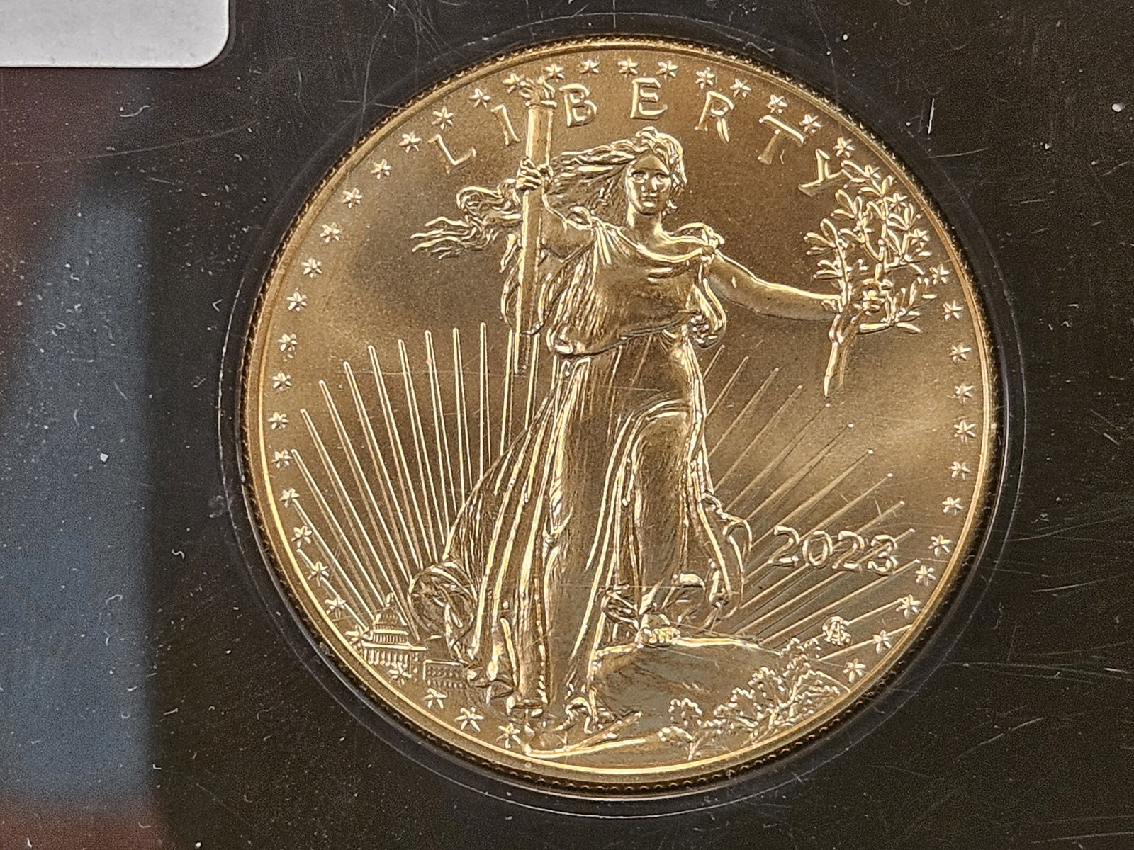 GOLD! GEM Brilliant Uncirculated 2023 Fifty Dollar American Gold Eagle: Housed in a Nationwide Coin and Bullion Reserve. One Troy ounce of .9999 fine gold!