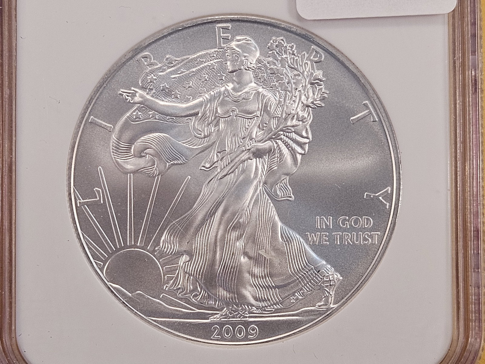 NGC 2009 American Silver Eagle in Mint State 69: Brilliant!