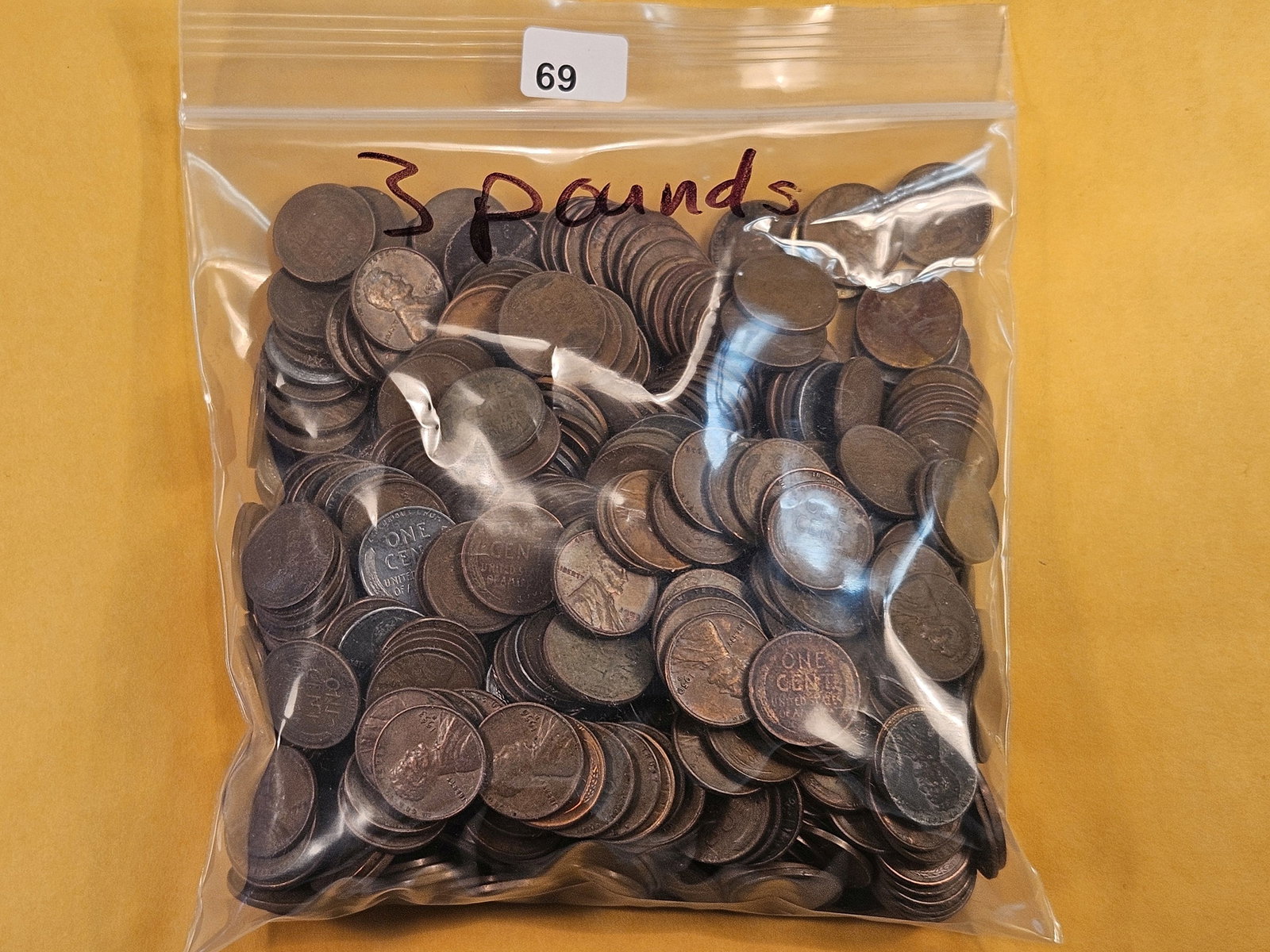 Over Three Pounds of Circulated Wheat Cents (1 of 4)