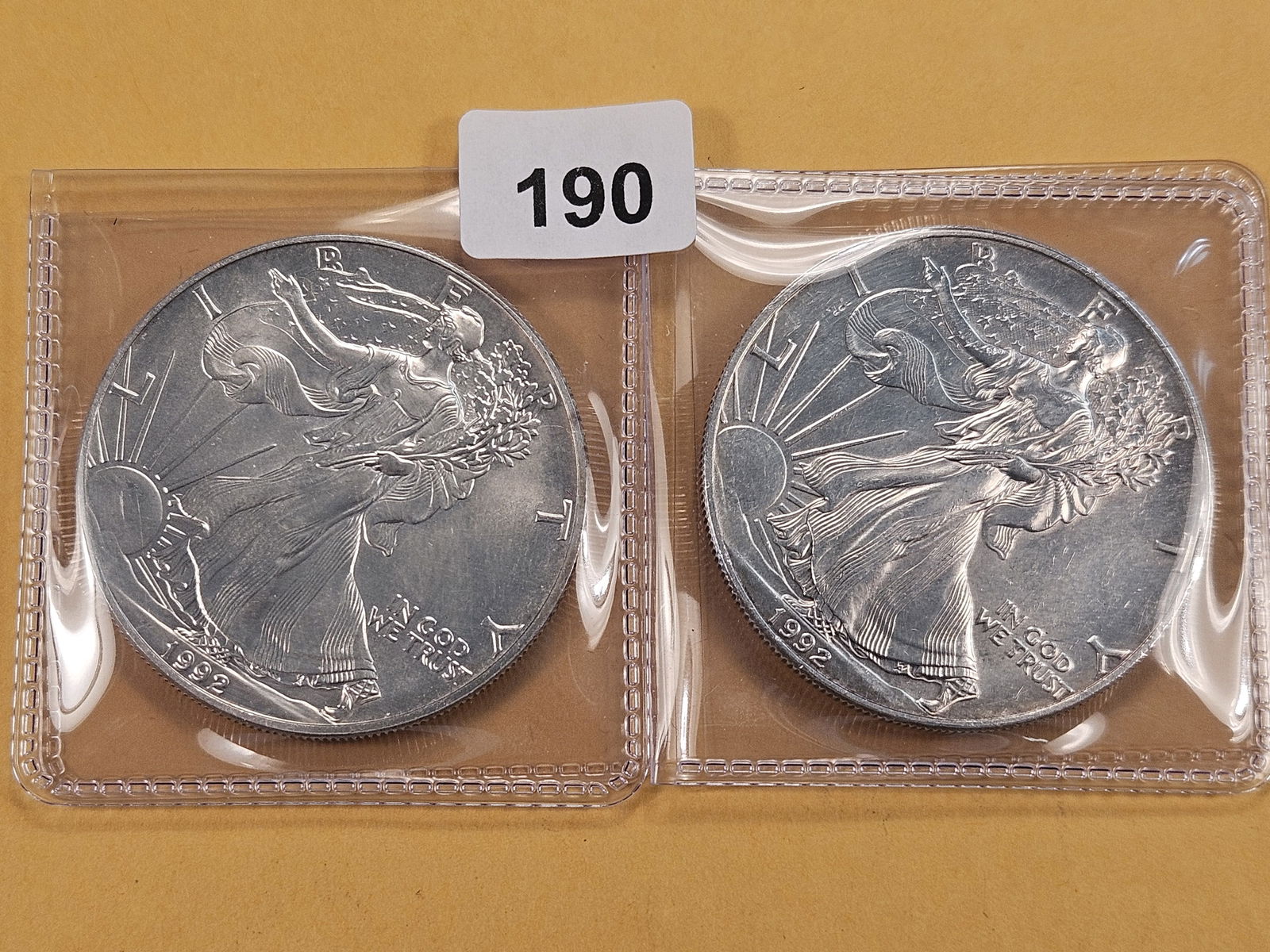 Two GEM Brilliant Uncirculated American Silver Eagles (1 of 2)