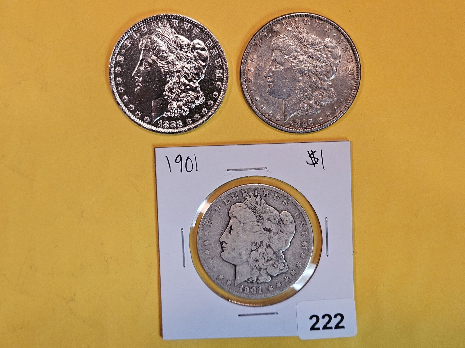 Three Morgan Silver Dollars (1 of 3)
