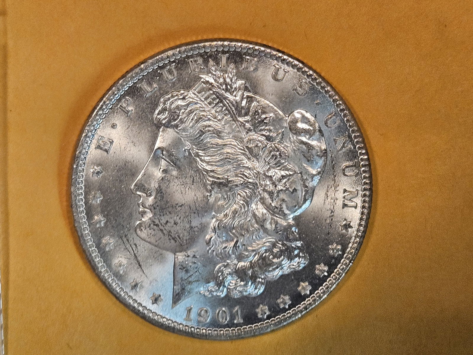 Choice Brilliant Uncirculated 1901-O Morgan Dollar (1 of 5)