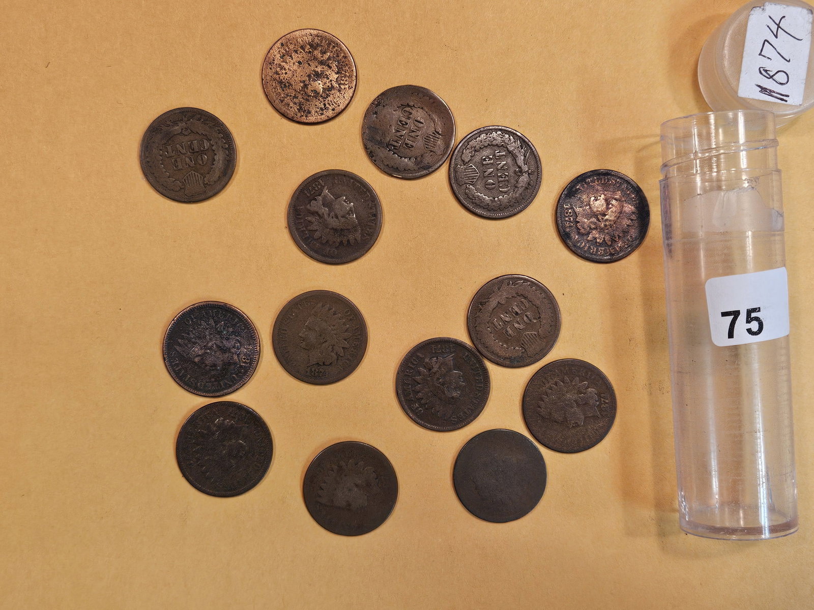 Fourteen Better date 1874 Indian Cents (1 of 2)