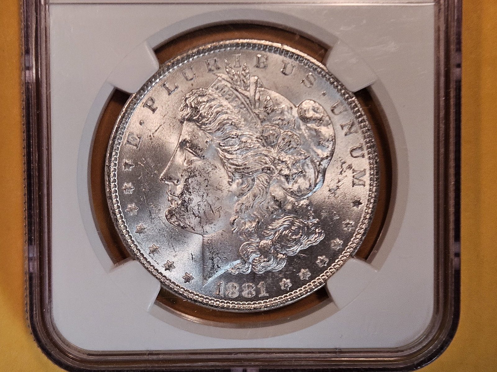 NGC 1881 Morgan Dollar in Mint State 63 (1 of 3)
