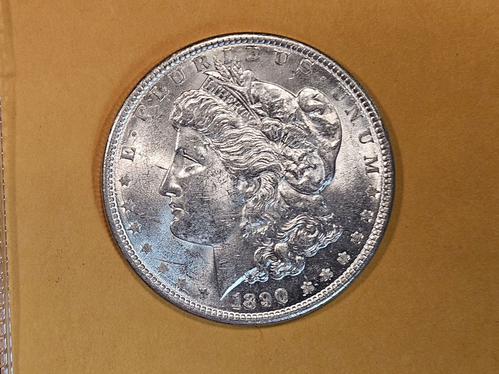 Choice Brilliant Uncirculated 1890 Morgan Dollar (1 of 5)