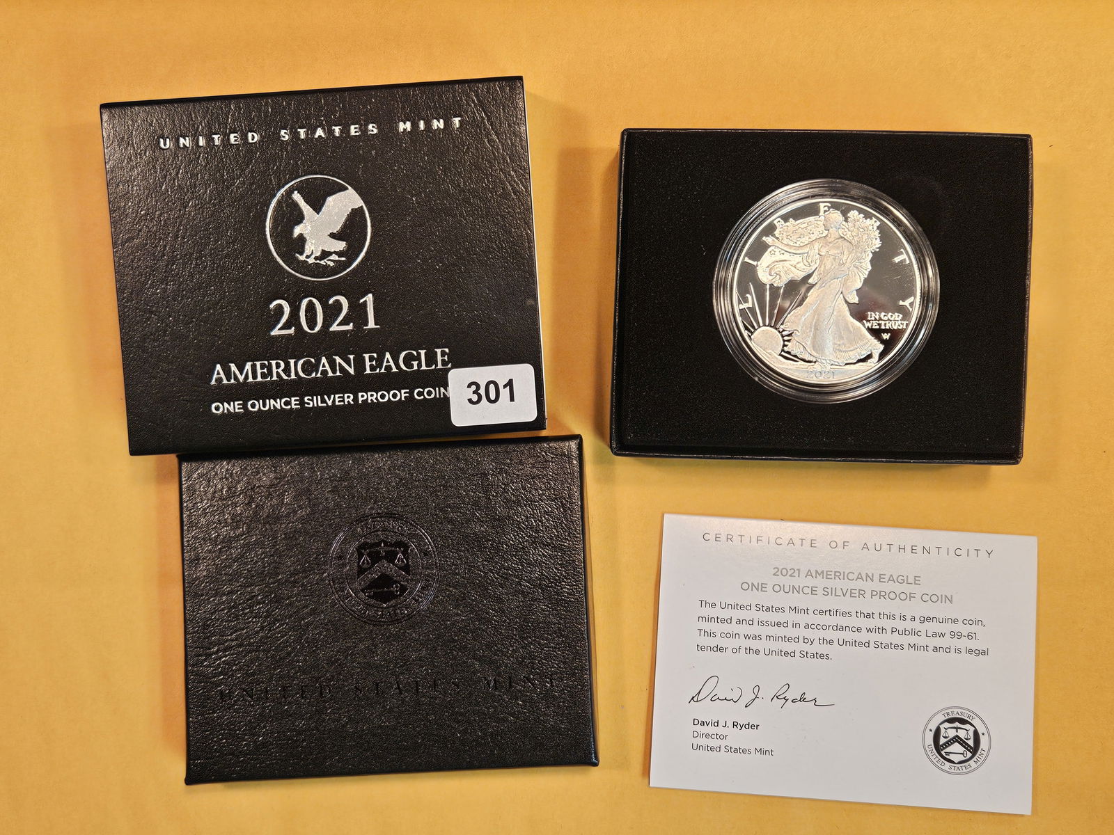 GEM Proof Deep Cameo 2021 American Silver Eagle (1 of 3)