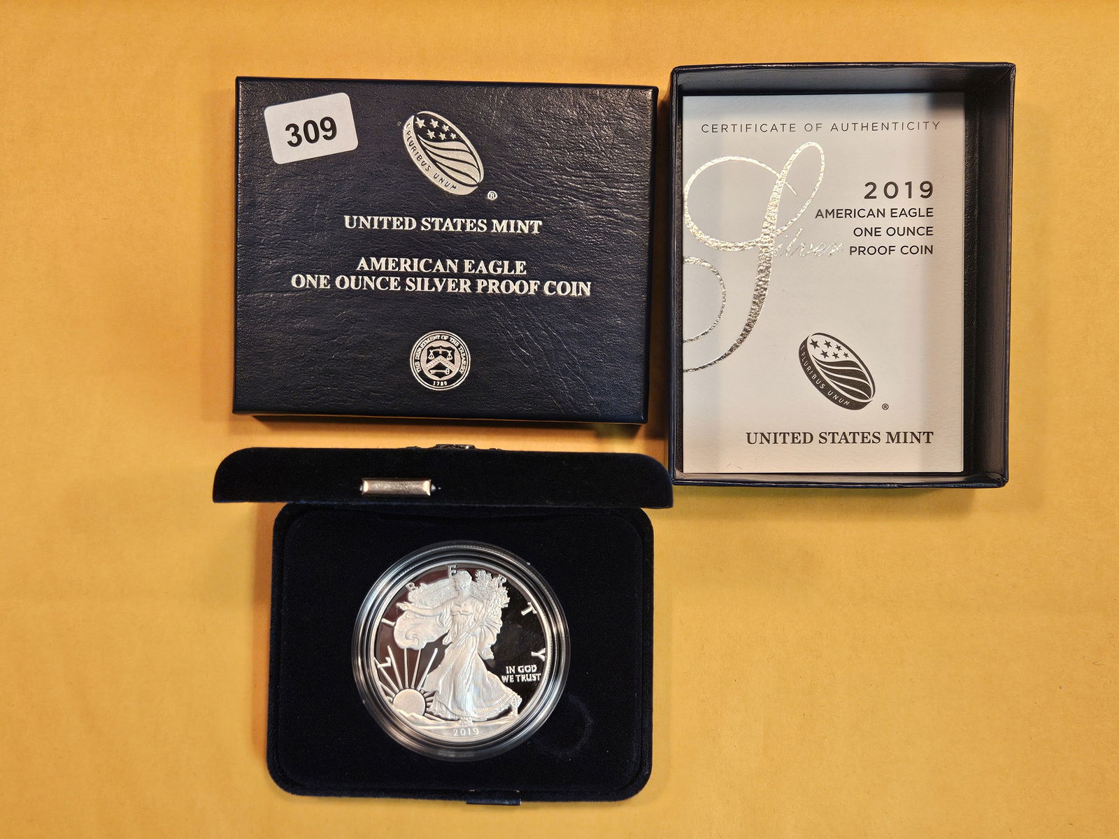 GEM Proof Deep Cameo 2019 American Silver Eagle (1 of 3)
