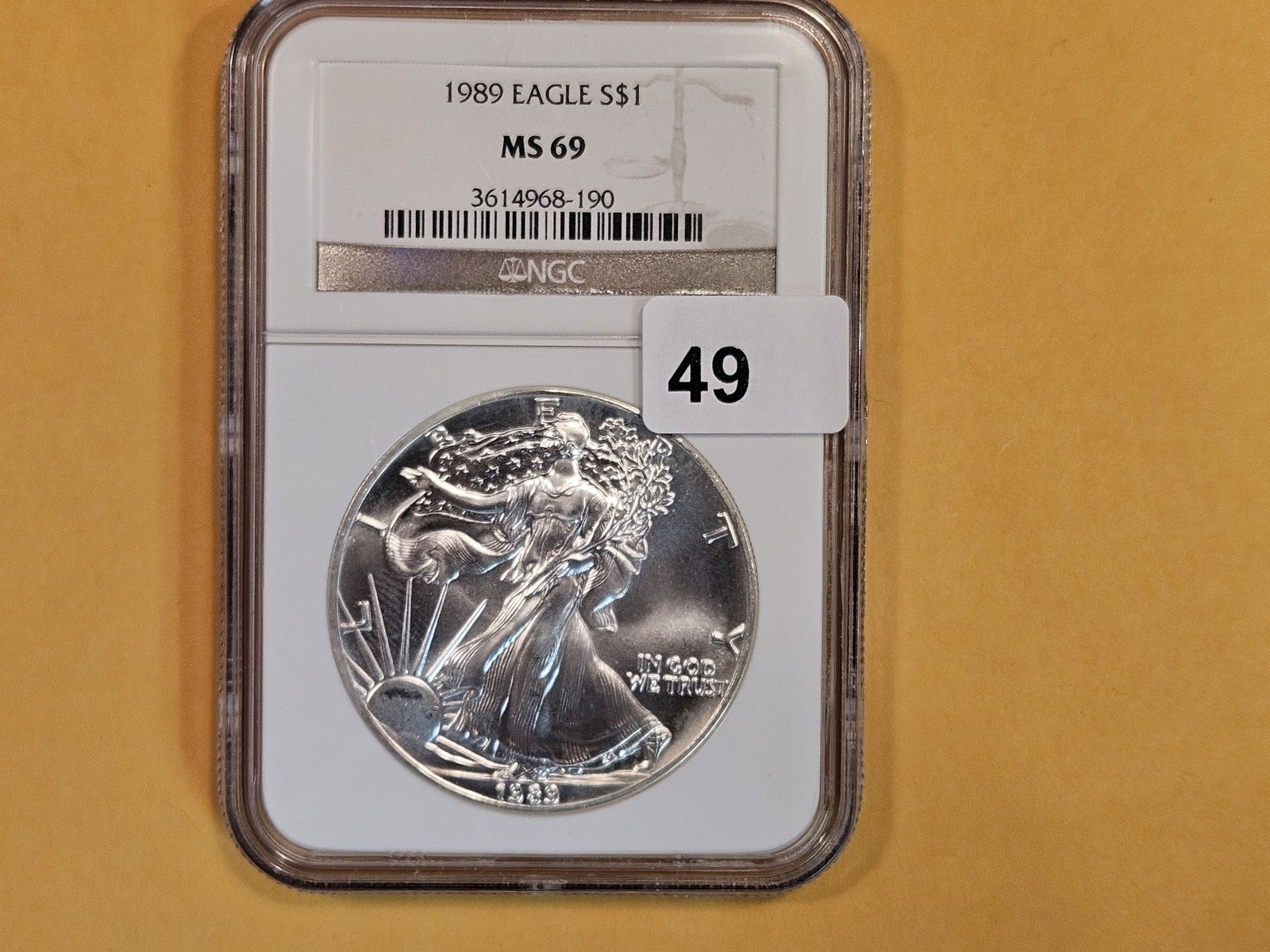 NGC 1989 American Silver Eagle in Mint State 69 (1 of 2)