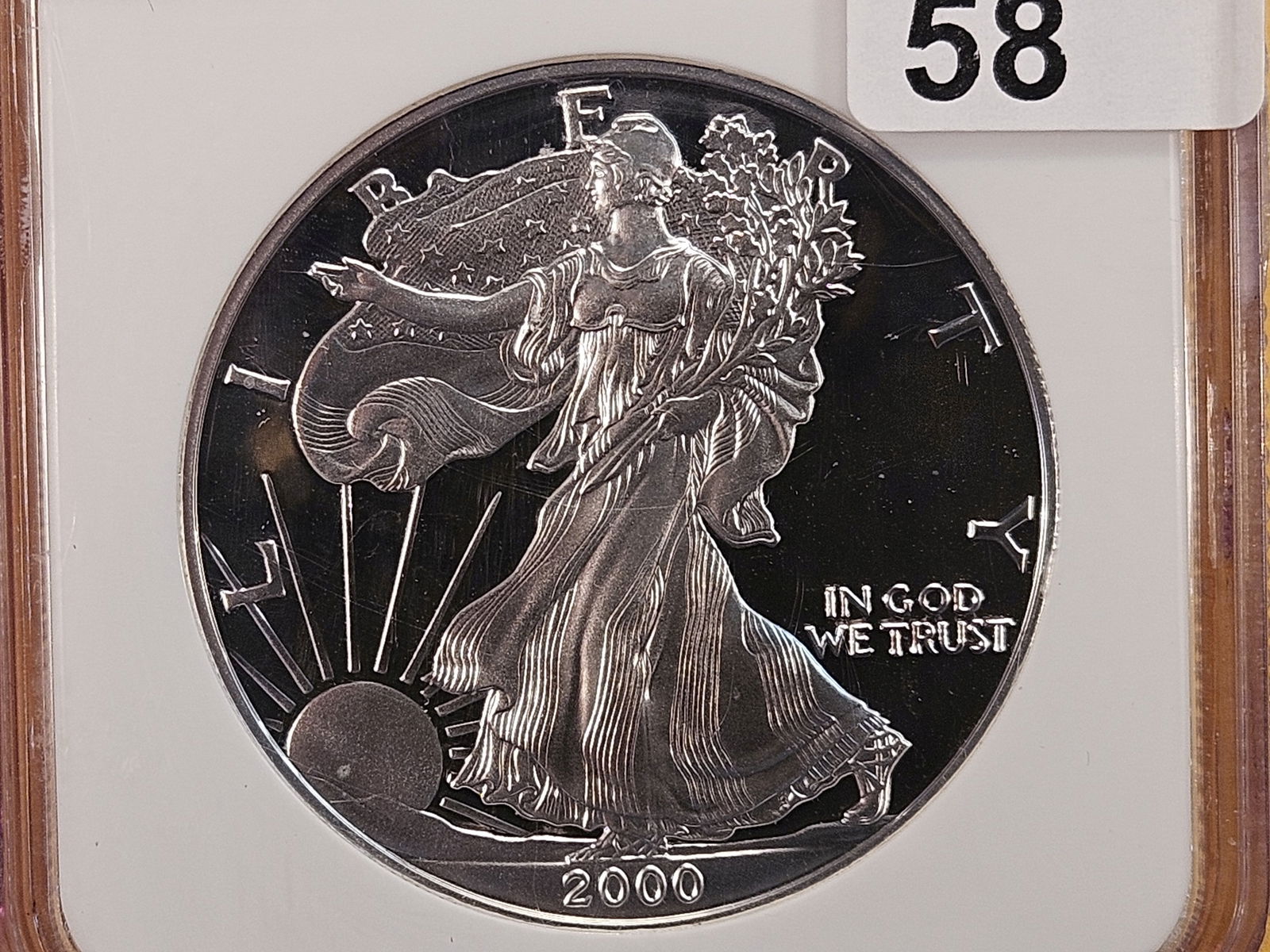 NGC 2000 American Silver Eagle in Proof 69 Ultra Cameo (1 of 4)