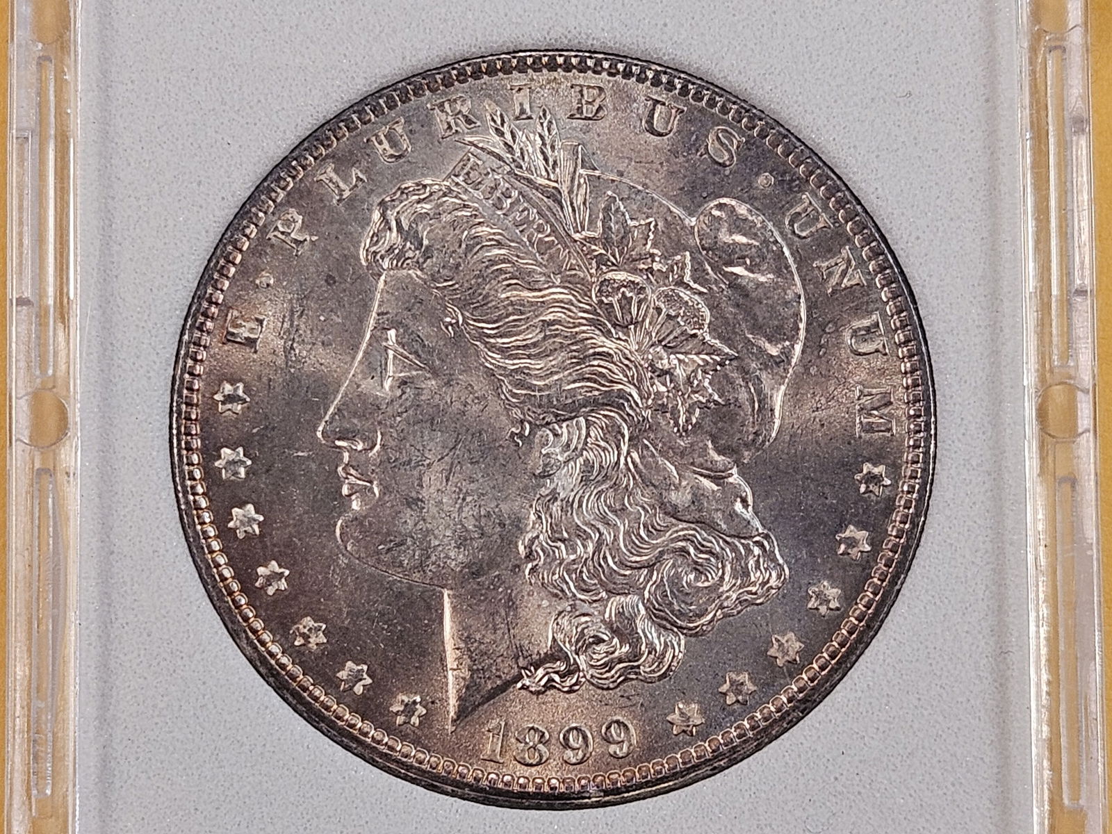 Slabbed 1899 Morgan Silver Dollar: Brilliant About Uncirculated to Brilliant Uncirculated 