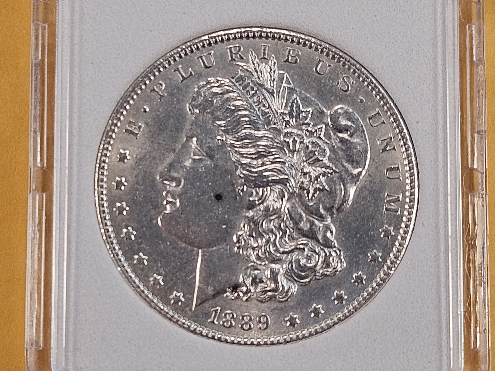 Slabbed 1889 Morgan Silver Dollar: Brilliant About Uncirculated to Brilliant Uncirculated 