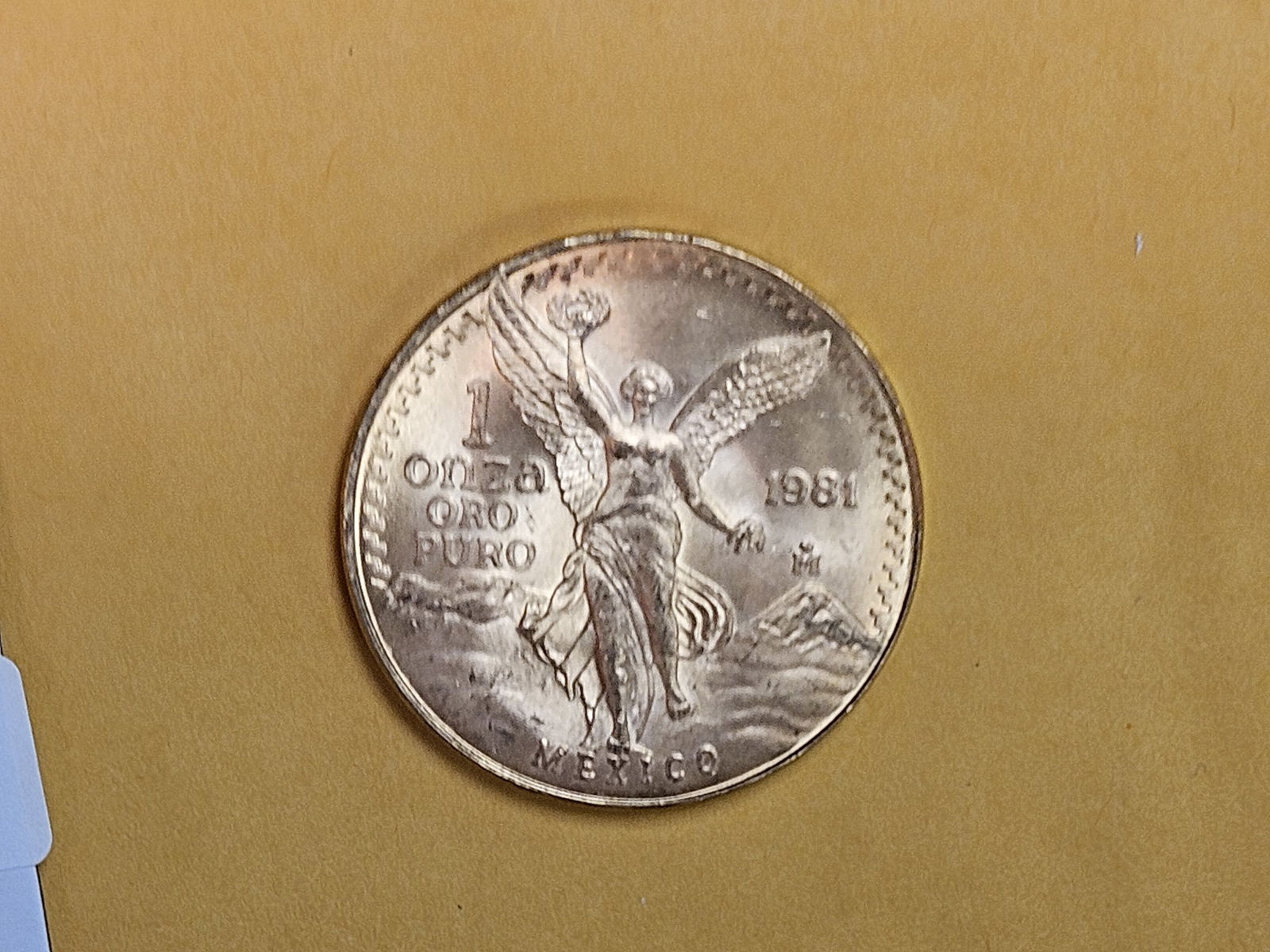 GOLD! GEM Brilliant Uncirculated 1981 Mexico Gold Onza - 5