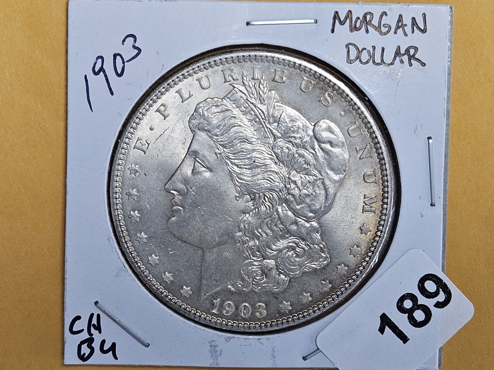 Choice Brilliant Uncirculated 1903 Morgan Dollar (1 of 4)