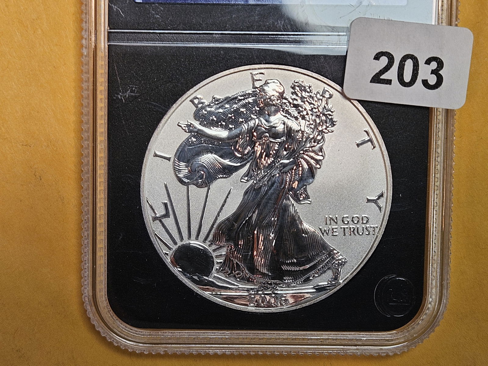 GEM 2006-P Reverse Proof American Silver Eagle (1 of 3)