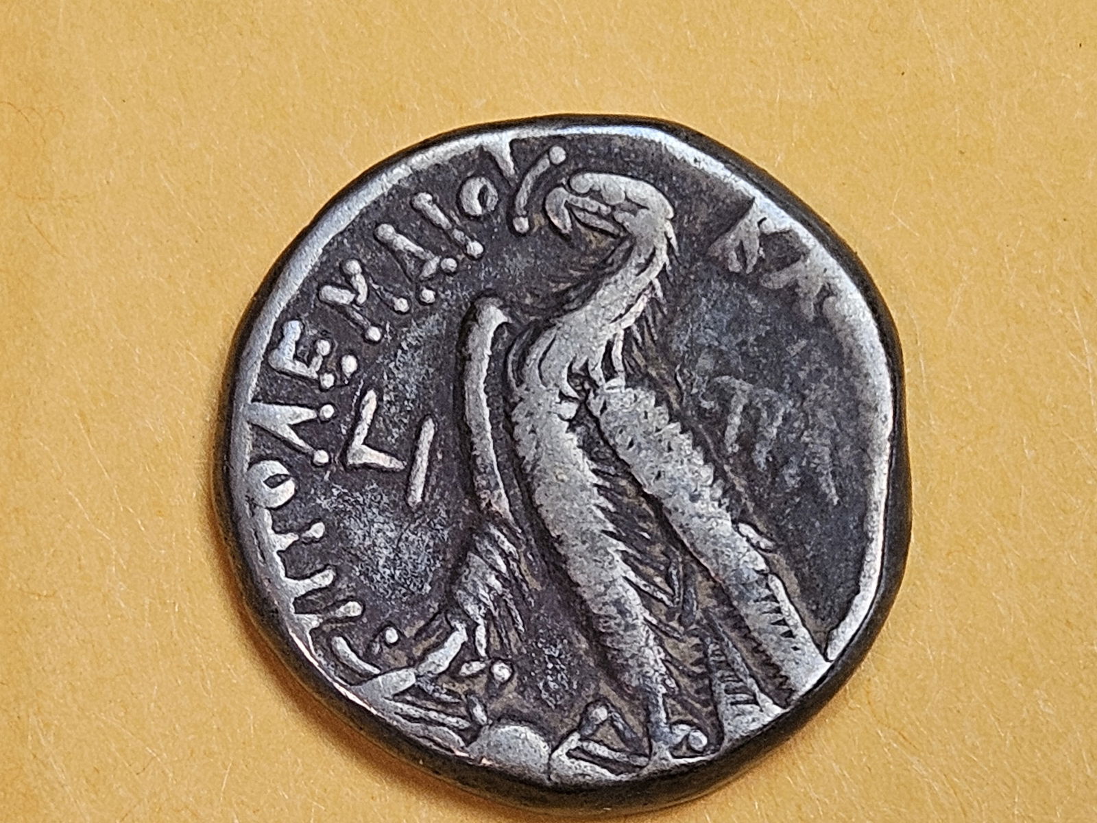 ANCIENT! Egypt Ptolemy X tetradrachm: Struck in 104 BC 