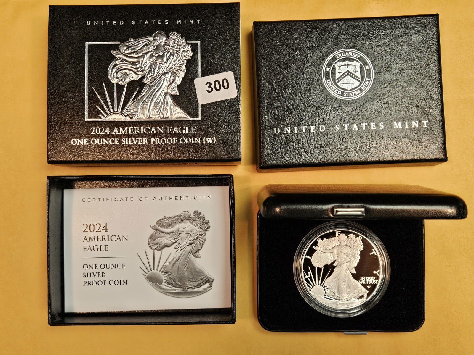 GEM 2024 Proof Deep Cameo American Silver Eagle (1 of 3)