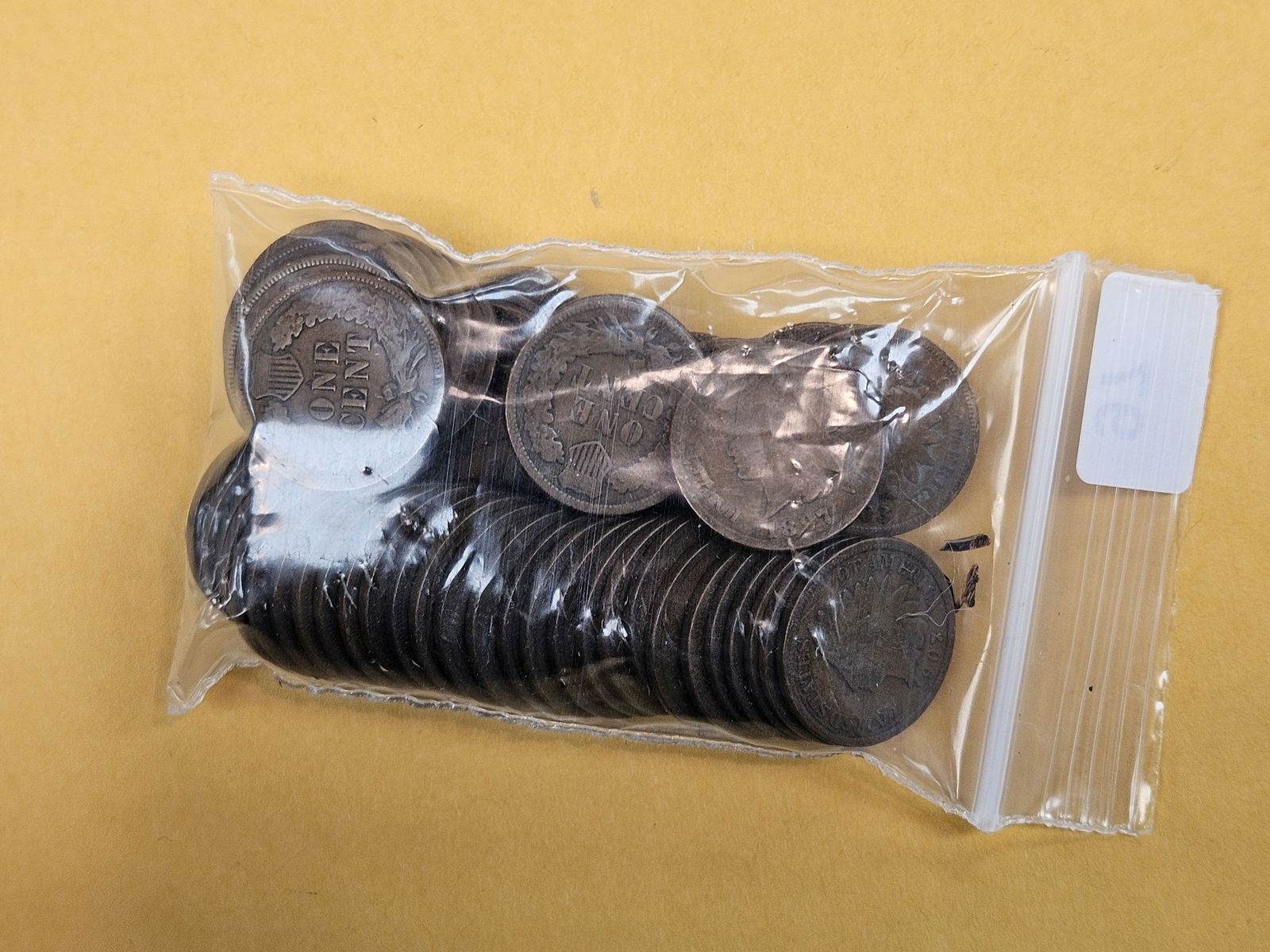 Fifty-One Indian Cents - 2