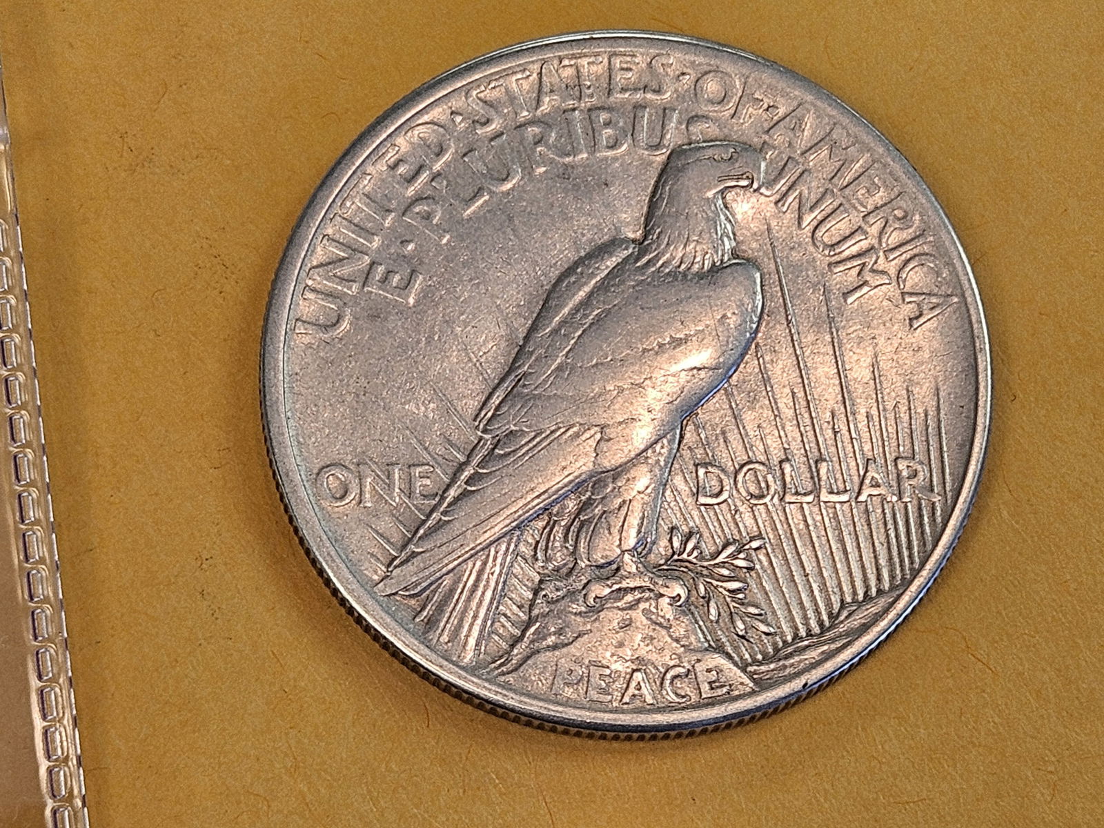 ** KEY DATE ** 1921 Peace silver dollar in About Uncirculated - 4