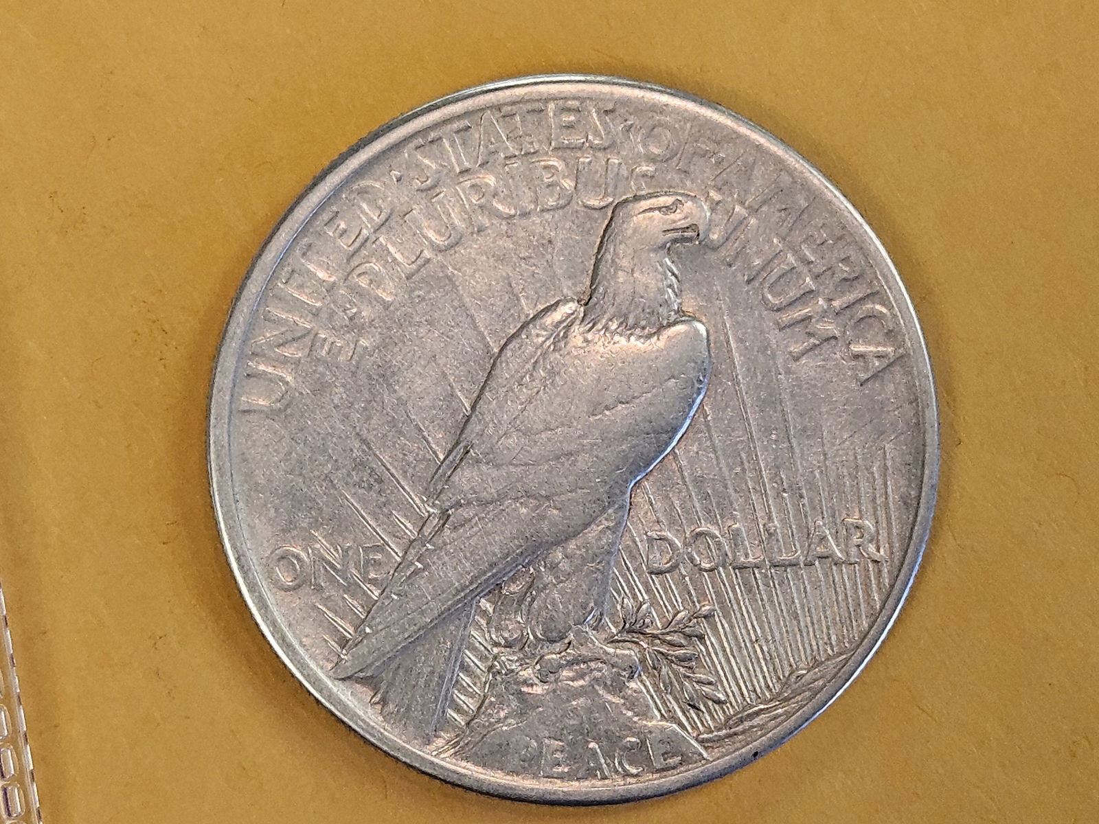 ** KEY DATE ** 1921 Peace silver dollar in About Uncirculated - 5