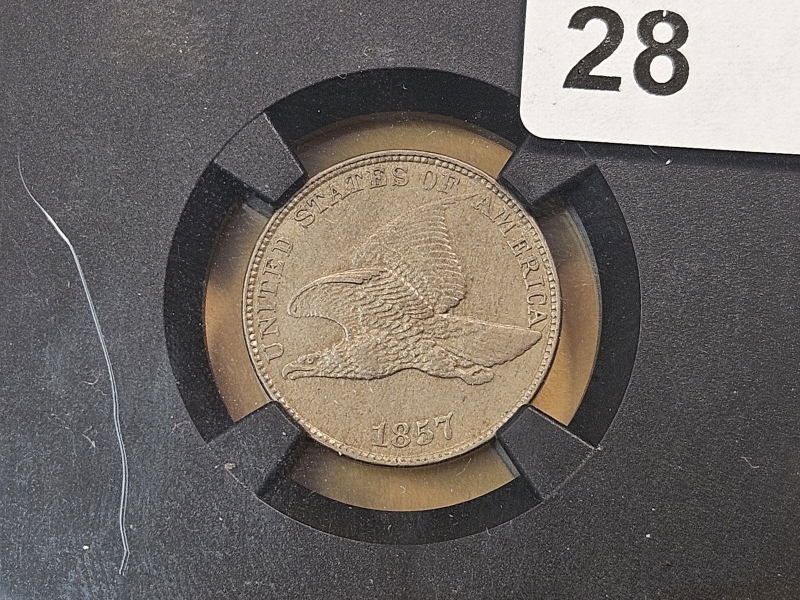 NGC 1857 Flying Eagle Cent in About Uncirculated 55: NGC Vaultbox Series 5 