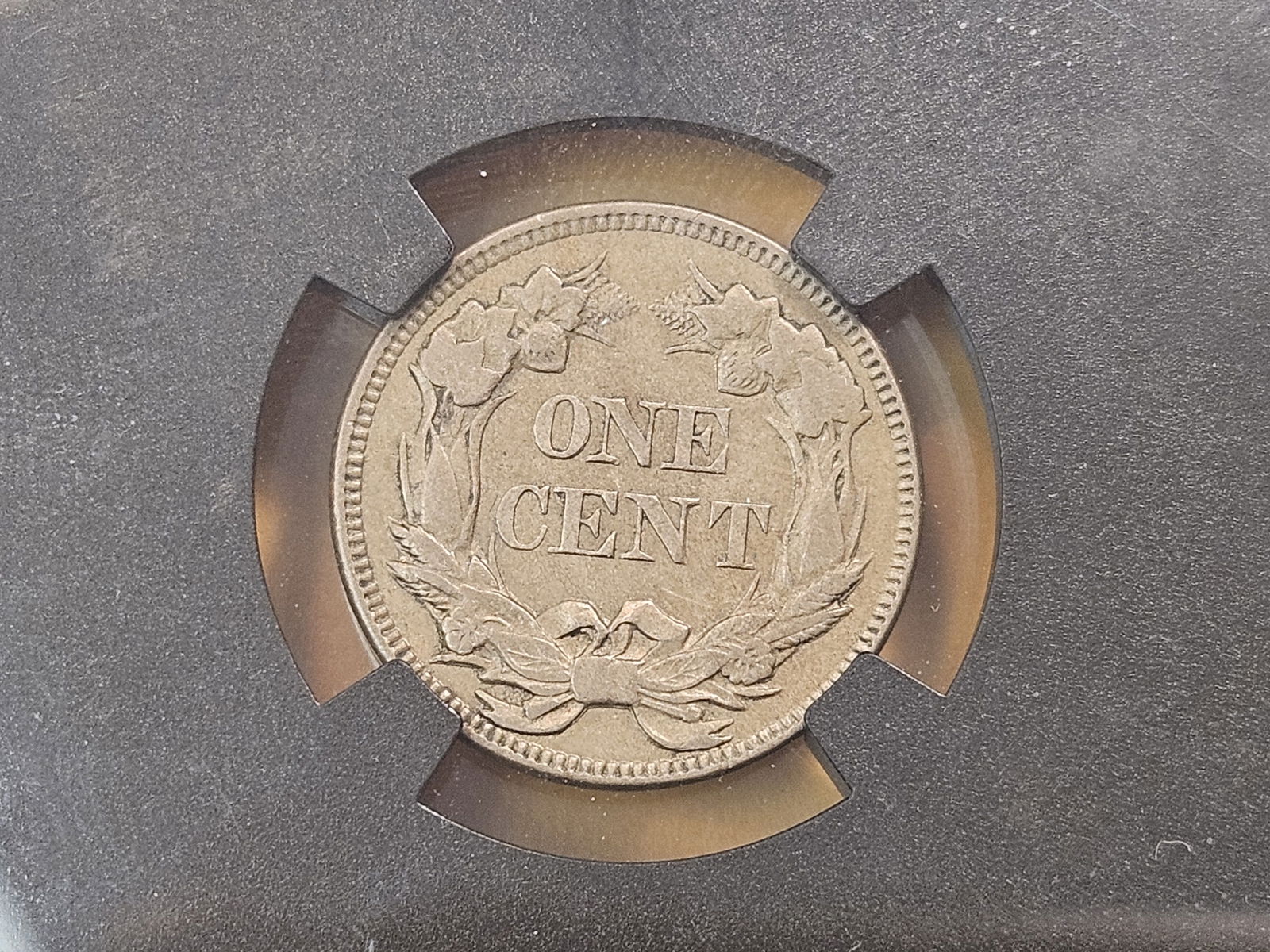 NGC 1857 Flying Eagle Cent in About Uncirculated 55 - 4