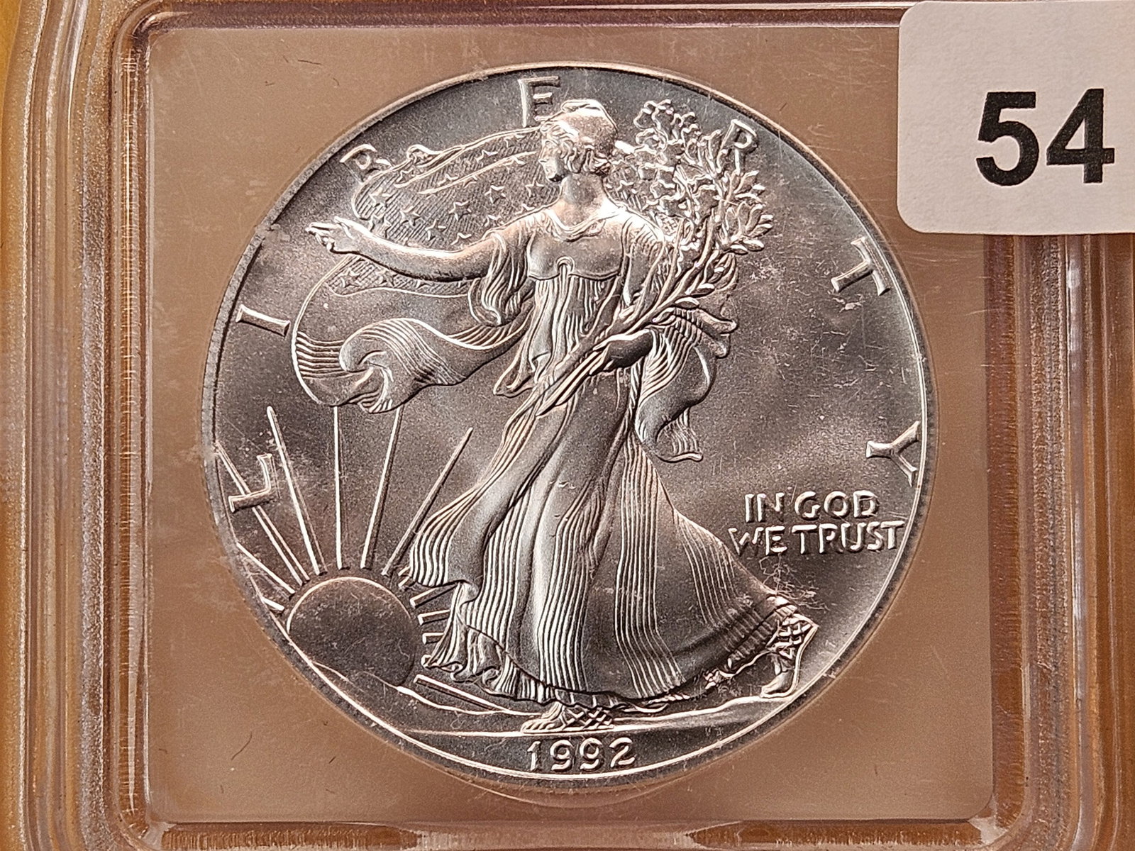 ICG 1992 American Silver Eagle in Mint State 69 (1 of 4)