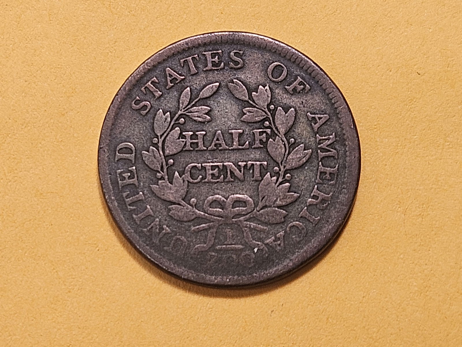 VARIETY! 1804 Draped Bust Half Cent - 5