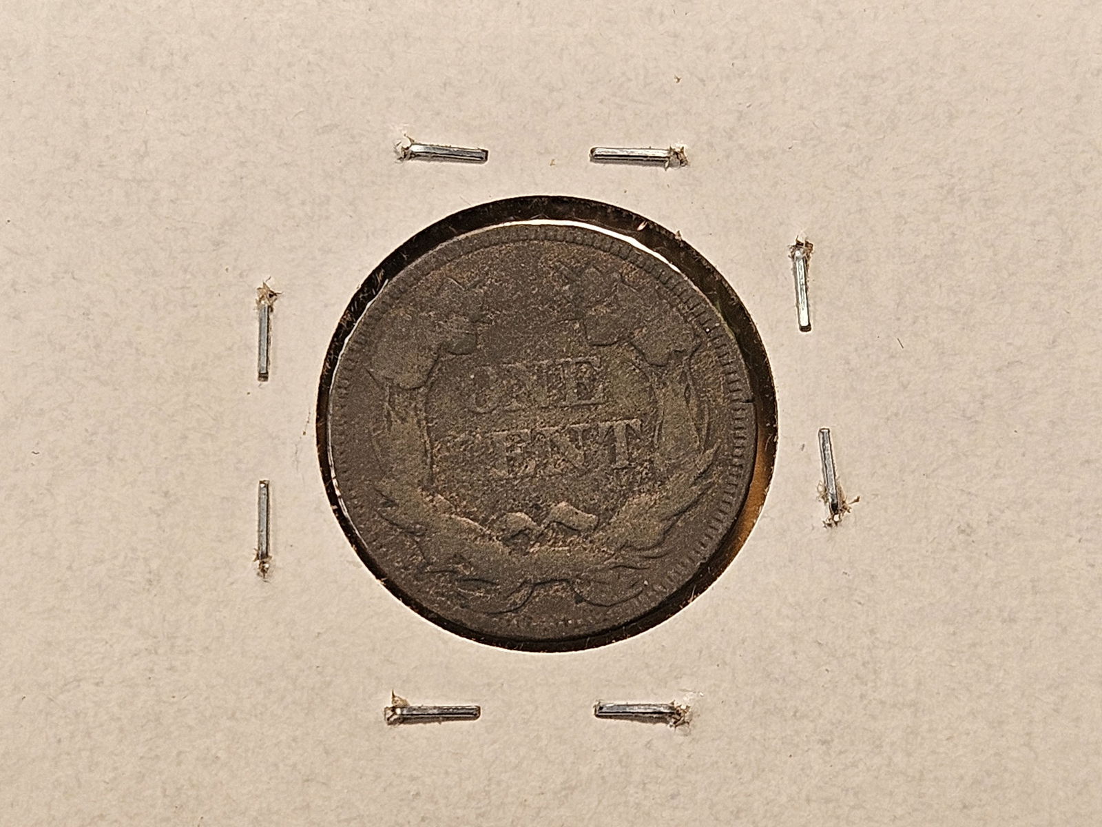 Two Flying Eagle and an Indian Head Cents - 6