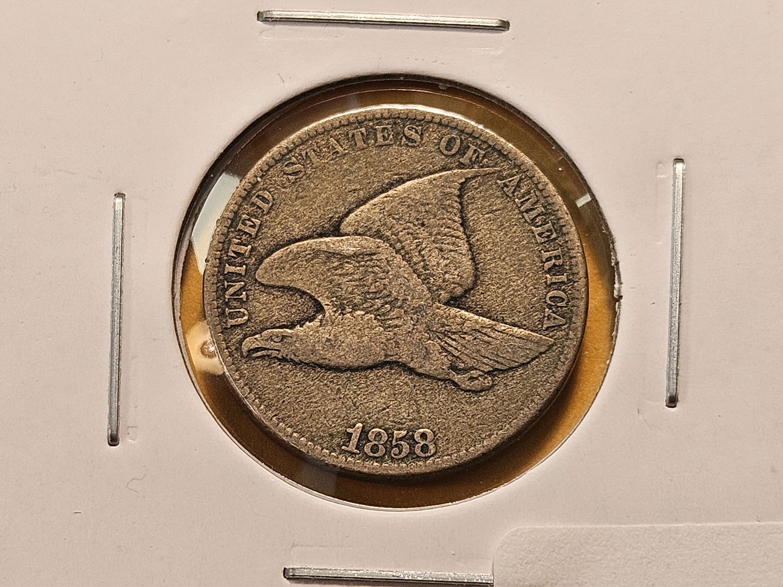 Two Flying Eagle Cents - 2