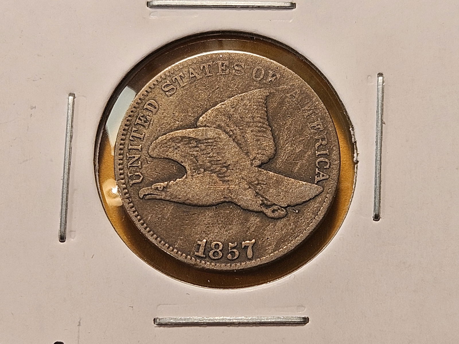 Two Flying Eagle Cents - 3